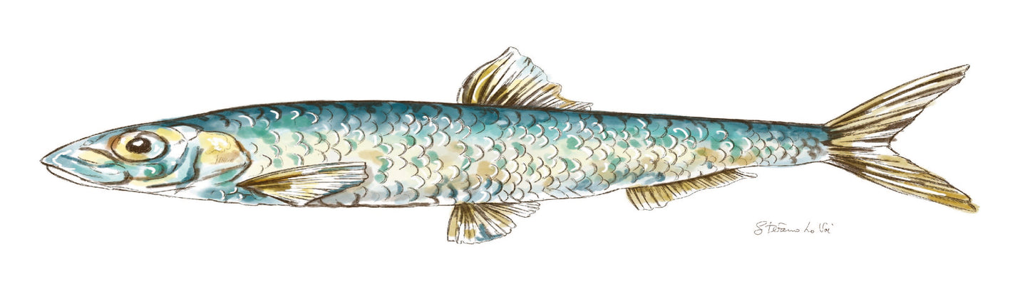 Pesce squame verde