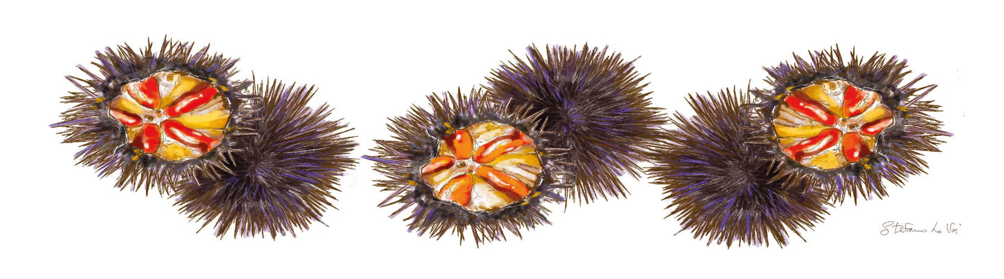 Ricci