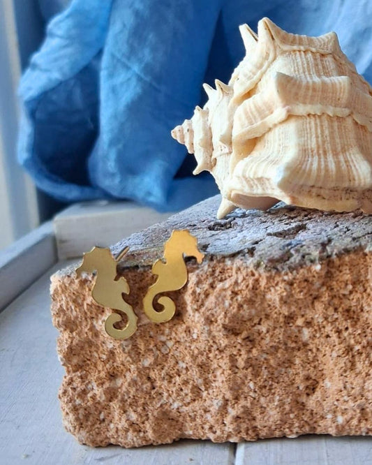 Cavallucci Marini al Lobo