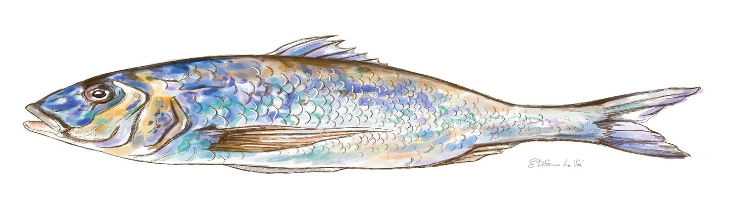 Pesce squame blu
